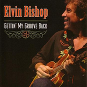 the best of elvin bishop: tulsa shuffle