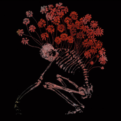 Folk Aesthetic (1996-2006)