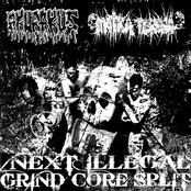 Next Illegal Grind Core Split