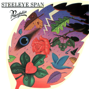 A Cannon By Telemann by Steeleye Span