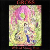 Web Of Stung Vein