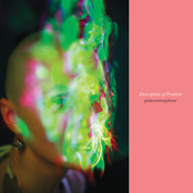 Description of Problem