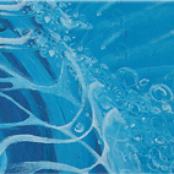 Pictures from the Lake