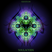 Soulacybin: Gratitude