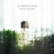 To Catch The Light