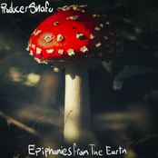 Epiphanies From The Earth