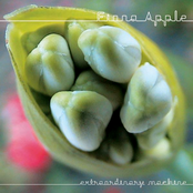 Not About Love by Fiona Apple
