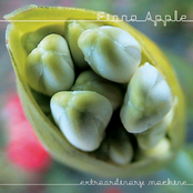 Fiona Apple: Extraordinary Machine