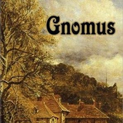 Gnomus