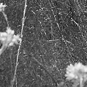 Mixes From The Balcony