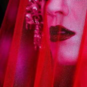 LUST FANTASY PRESAGE