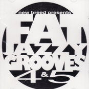 Fat Jazzy Grooves 4 & 5