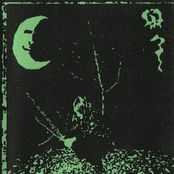 2018 - Moos Und Efeu