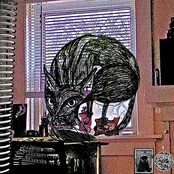 Feeling more, the seasons were as uncertain as I