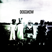 dogshΘw