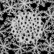 Ecstatic Crystallization