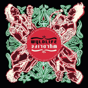 Wyldlife: The Time Has Come to Rock & Roll