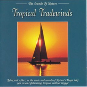 The Sounds of Nature: Tropical Tradewinds
