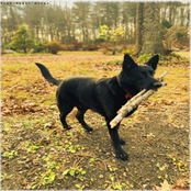 Hold Everything Close