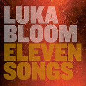 When Your Love Comes by Luka Bloom