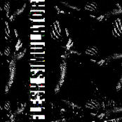 Morgellons Support Group