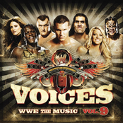 Age Against The Machine: Voices: WWE The Music, Vol. 9