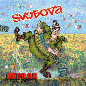 Svoáîäà