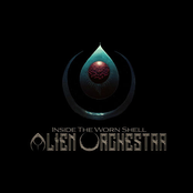 Inside The Worn Shell