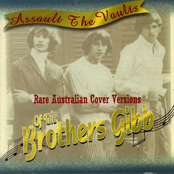 Assault The Vaults - Rare Australian Covers Of The Brothers Gibb