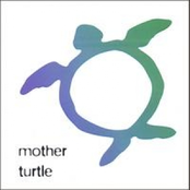 Mother Turtle Demo