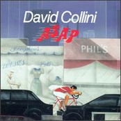 david collini