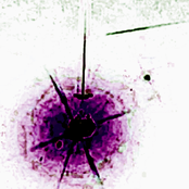 J4CK UR L1F3 1S F4LL1NG 0FF