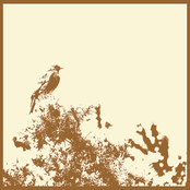 Soundcheck For Birds EP (preview)