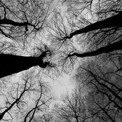 Nappali árnyak, éjjeli nappalok (When the Nights Turn into Days, the Shadows Grow Longer)
