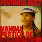 Manual Prático de Malandragem vol. 1