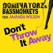 Don't Throw It Away feat. Amanda Wilson