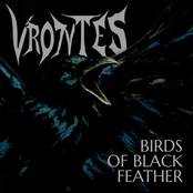 Birds of Black Feather