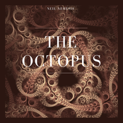 The Octopus