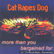 Räkna Inte Med Mig by Cat Rapes Dog