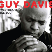 Down South Blues by Guy Davis