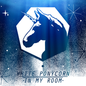 White Ponycorn In My Room