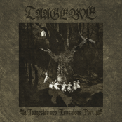 Taageslør ved Løvsalens Port