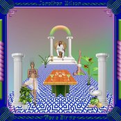 Loving You by Jonathan Wilson