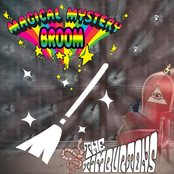 Magical Mystery Broom