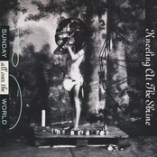 Kneeling at the Shrine