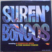 Surfin' Bongos