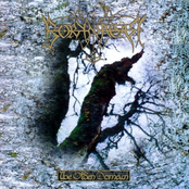 Borknagar: The Olden Domain