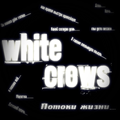 white crows