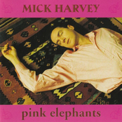 Anthracite by Mick Harvey