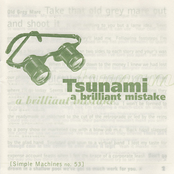 Tsunami: A Brilliant Mistake